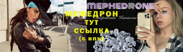 сатива Беломорск