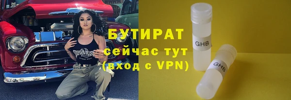 сатива Беломорск
