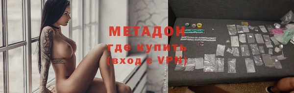 сатива Беломорск