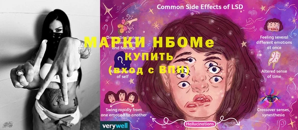 сатива Беломорск