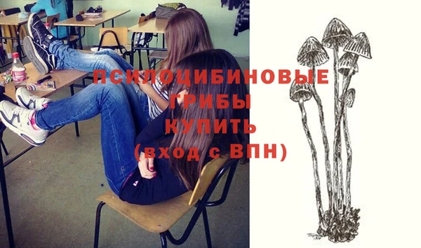 дживик Белоозёрский