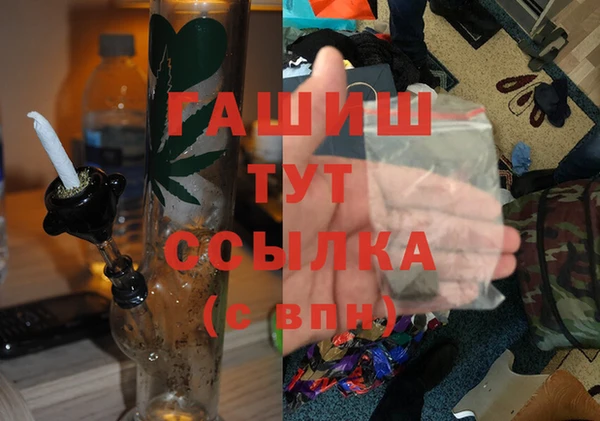 сатива Беломорск