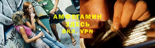 сатива Беломорск