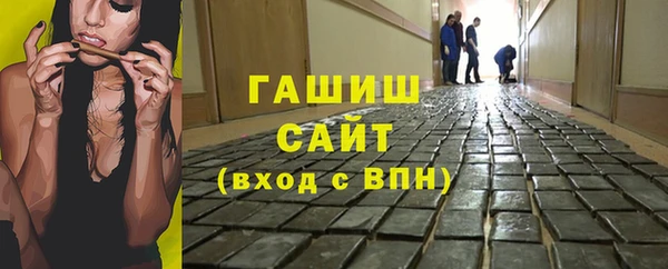 сатива Беломорск